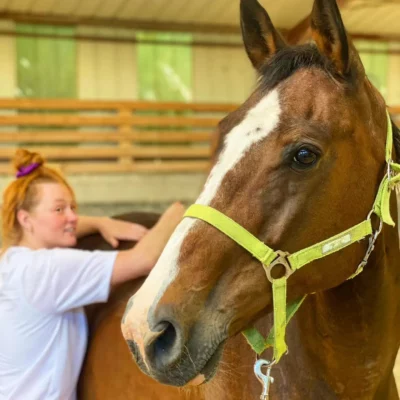 Ostéopathie animalière pour chevaux en Alsace et sur les régions voisines. Service d'ostéopathie équin assuré par laura Zoller